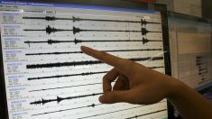 Sismo de magnitud 4,2 en provincia ecuatoriana fronteriza con Colombia