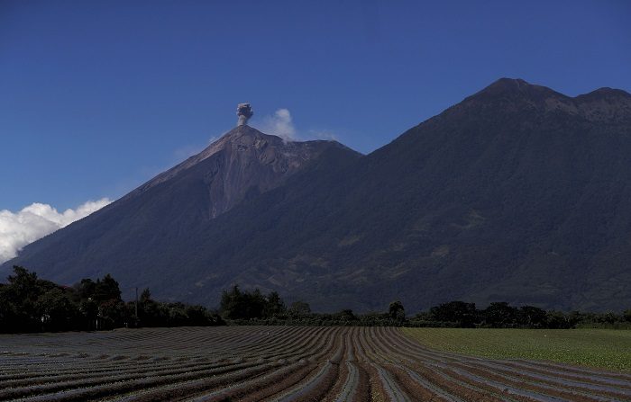 El volcán de Fuego, situado a 50 kilómetros al oeste de la capital guatemalteca, continúa hoy con la erupción efusiva que comenzó el pasado martes con lanzamiento de ceniza hasta los 4.700 metros de altura. EFE/Esteban Biba