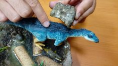 Descubren familia de dinosaurios que habitó en México hace millones de años