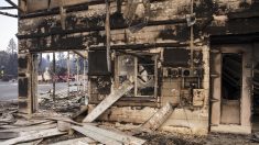 Ascienden a 42 los muertos en el gigantesco incendio del norte de California