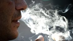 Previsible veto a cigarrillos mentolados arrastra a tabaqueras en Wall Street