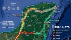 Impacto ambiental, el mayor problema para el Tren Maya