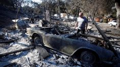 Hallaron ocho cuerpos más en incendios de California y ya suman 59 muertos