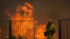Suben a más de 1.000 los desaparecidos en incendios de EEUU, con 74 muertos
