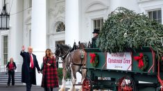 Donald Trump recibe por primera vez el árbol de Navidad de la Casa Blanca