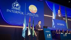Interpol nombra con polémica al surcoreano Kim como nuevo presidente