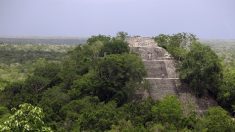 México vota consulta sobre Tren Maya sin altercados y con afluencia variada