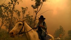 Ordenan evacuar a 8.000 personas amenazadas por los incendios en Queensland
