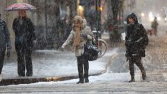 Tormenta de nieve en pleno otoño en Nueva York, al menos 5 muertos en el país