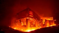 Incendio en California es más que una tragedia: son 660 entre muertos y desaparecidos