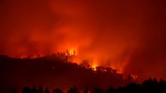 Historias del incendio en California: los salvó «el Espíritu Santo», «la oración» y el zorro