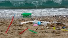 El plástico de los océanos: la amenaza llega ya a nuestra mesa