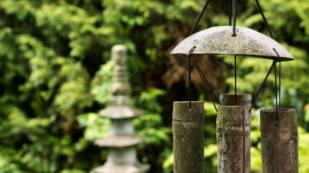El Feng Shui, la naturaleza y la medicina explicados desde la sabiduría milenaria