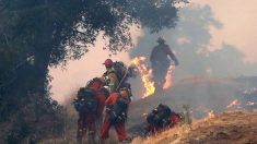 Incendio en Everglades de Florida devora unos ocho kilómetros cuadrados