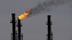 La OPEP revisa a la baja la demanda de su crudo y deja sin cambios la mundial