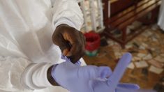 Crean una prueba que detecta el ébola en menos de 30 minutos