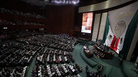 Diputado de Morena anuncia fecha de posible segunda audiencia sobre FANI en el Congreso