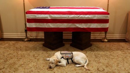 La foto del perro del expresidente George H.W. Bush cuidando su ataúd impacta al mundo