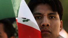 México por encima de América Latina en actitudes más respetuosas hacia la ley, según estudio