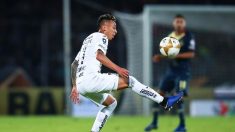 América buscará imponer su ley en casa para eliminar a los Pumas UNAM