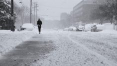 Poderosa tormenta de hielo y nieve azota sureste de Estados Unidos dejando al menos 4 muertos