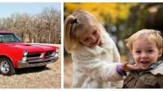 ¡Una subasta llena de emoción! Compradores donan un coche 3 veces para ayudar a unos huérfanos