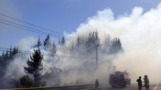 Incendio destruye unas 50 viviendas en la localidad chilena de Limache