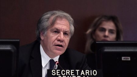 La OEA acuerda «no reconocer la legitimidad» del Gobierno de Nicolás Maduro