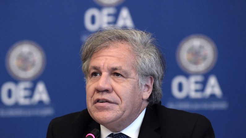El secretario general de la Organización de los Estados Americanos (OEA), Luis Almagro. (EFE/Archivo)