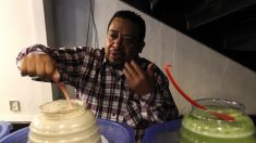 El pulque, la bebida prehispanica que tendrá museo en México