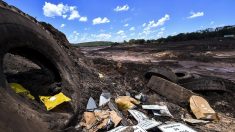 Ruptura de represa minera en Brasil destruye al menos 125 hectáreas de bosque