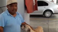 Perro callejero se convierte en héroe al salvar una vida cuando asaltaban una gasolinera