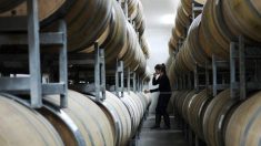 Experta culpa a los productos falsos chinos de causar una pérdida de 3,1 billones de dólares para la industria mundial del vino