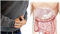 Presta atención a estos 6 consejos médicos que te harán conocer la salud de tu intestino