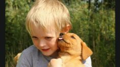 Un niño de gran corazón rescata a más de 1000 perros de refugios y le encuentra nuevos hogares
