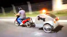 Crean en Argentina la primera moto ambulancia para mascotas del país