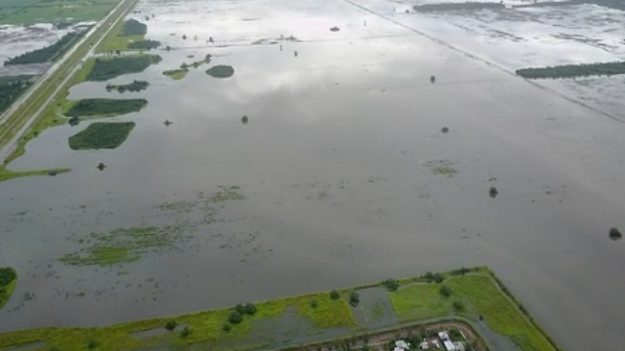 Inundaciones en noreste argentino dejan 3 muertos, cientos de evacuados y destrucción de cosechas