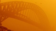 Gran tormenta de polvo en la víspera de Año Nuevo deja sin fuegos artificiales a parte de Australia