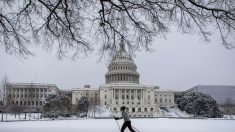 Tormenta de nieve se desplaza hacia Washington: al menos cinco muertos en el Oeste medio de EE.UU.