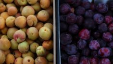 Retiran toda la fruta chilena de los supermercados de EE. UU. por posible contaminación con listeria