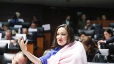 Polémica crítica de un diputado a una senadora mexicana que comparecía en la tribuna con su bebé en brazos