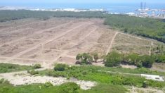 Refinería Las Bocas de AMLO se abre paso con módica multa y sin permisos ambientales