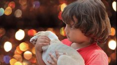 El tierno vínculo de un niño sin hogar y su cachorro te tocará el corazón, su foto emociona a la web