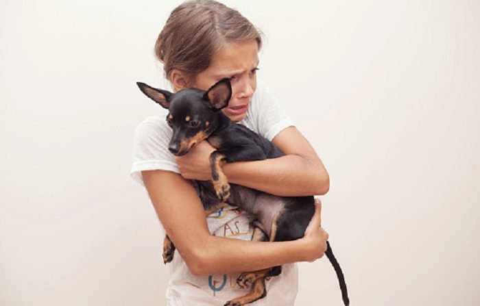 Imagen de contexto de perro rescatado. (Photo by Scott Eisen/Getty Images)