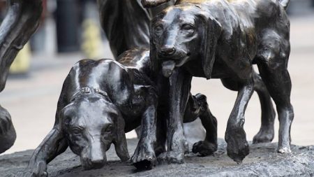 Esta perrita es tan rara y brillante que todos la confunden con una estatua de metal