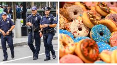 La policía rescata camión robado lleno de donas y hace un dulce acto de bondad para la gente sin hogar