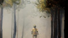 Dos muertos y 3200 hectáreas destruidas dejan incendios en el sur de Chile