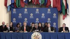 El plan de la OEA para sanear el sistema electoral y llamar a elecciones libres en Venezuela