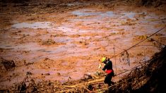 Brasil ordena cierre definitivo de presas similares a la que causó tragedia en Brumadinho