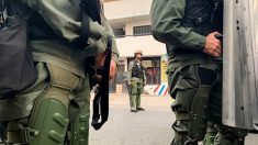 Incluso los perros antidrogas de la Guardia Nacional abandonan a Maduro y cruzan la frontera